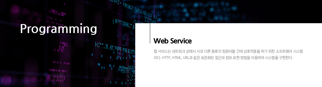 Python을 활용한 웹서버 구축 